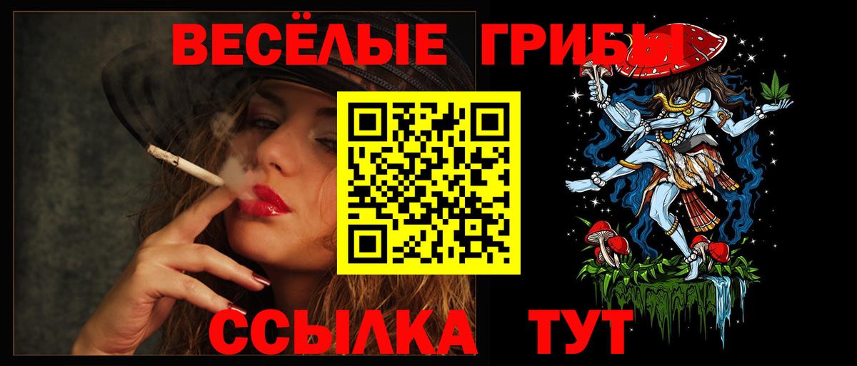 Евпатория  Псилоцибиновые грибы Psilocybine cubensis  Вход с VPN 